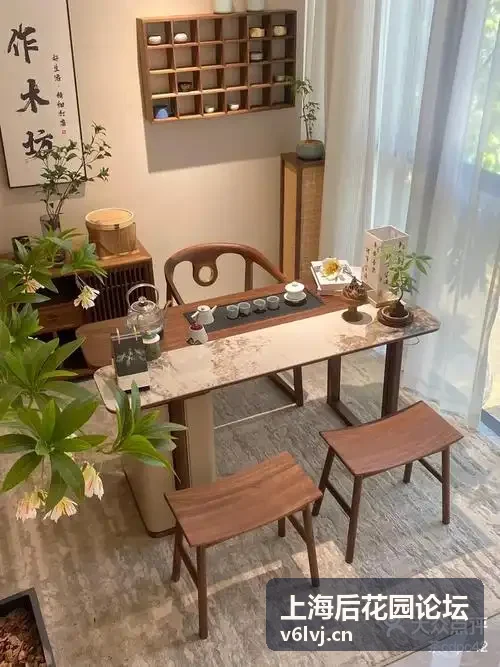 上海后花园论坛城市漫步路线封面图，梧桐树下悠闲散步